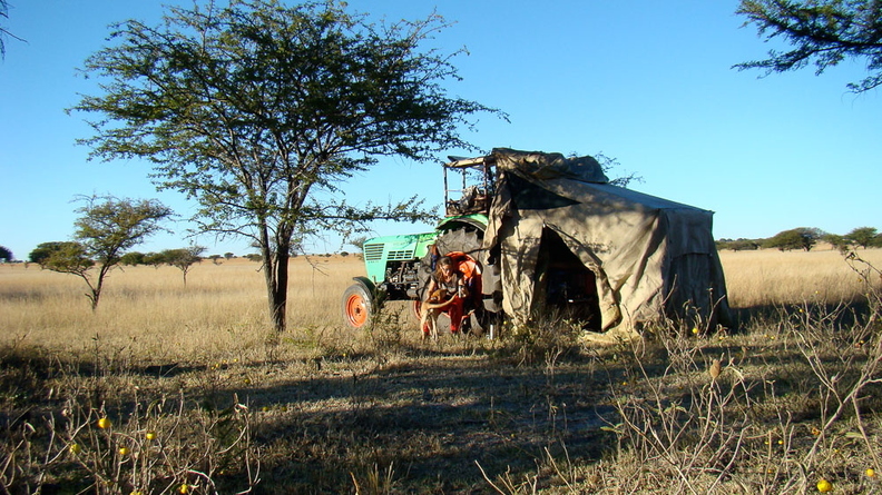 Zimbabwe - Bushcamp TractorTent.jpg